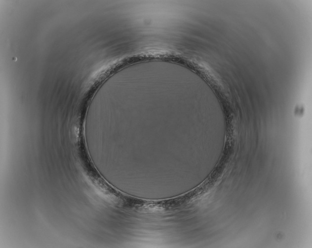 X0000091080640200709041241