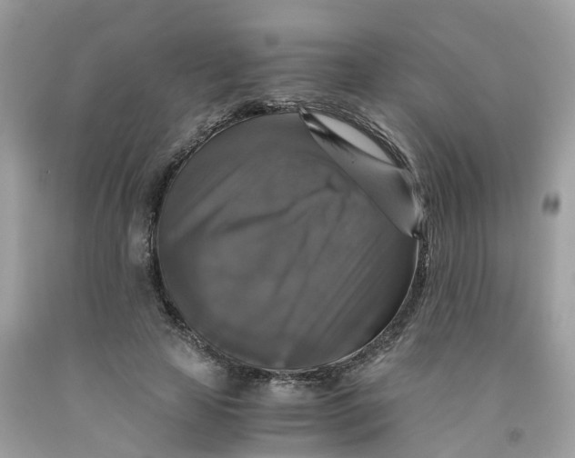 X0000091080641200709041241