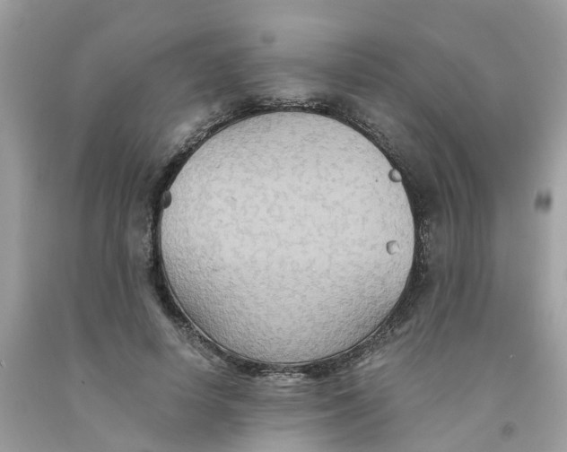 X0000091080642200709041241