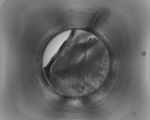 X0000091080643200709041241