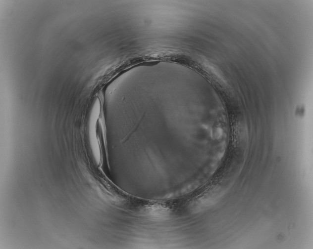 X0000091080644200709041241