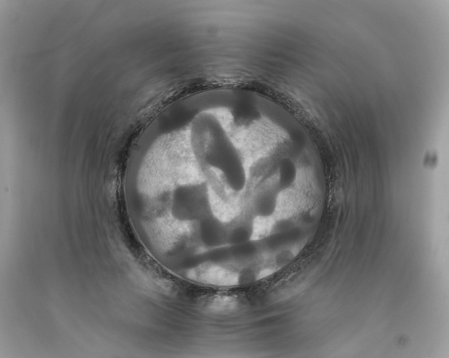 X0000091080647200709041242