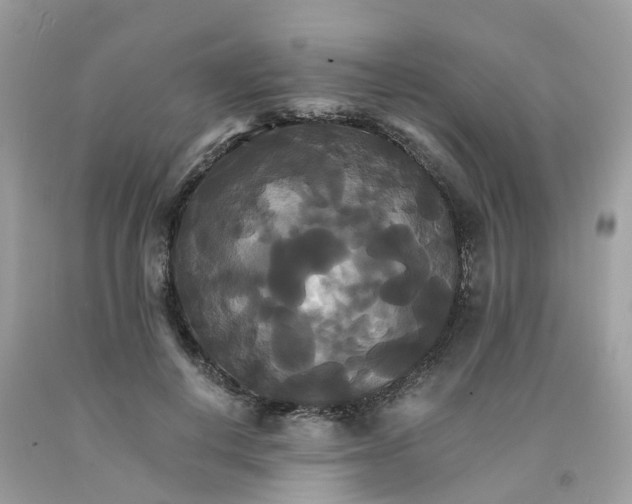 X0000091080648200709041242