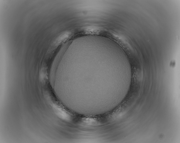 X0000091080649200709041242