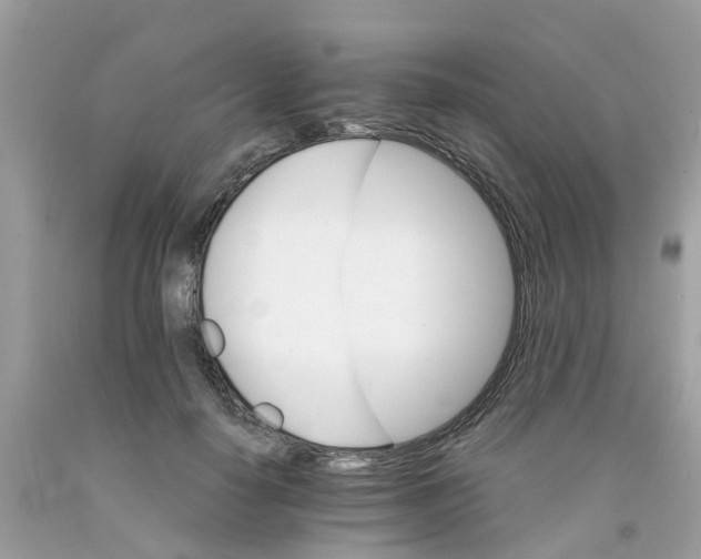 X0000091080650200709041242