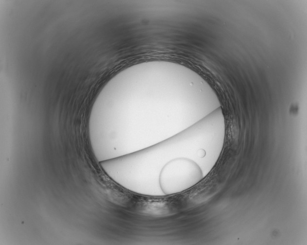 X0000091080651200709041242