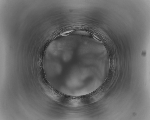 X0000091080653200709041242