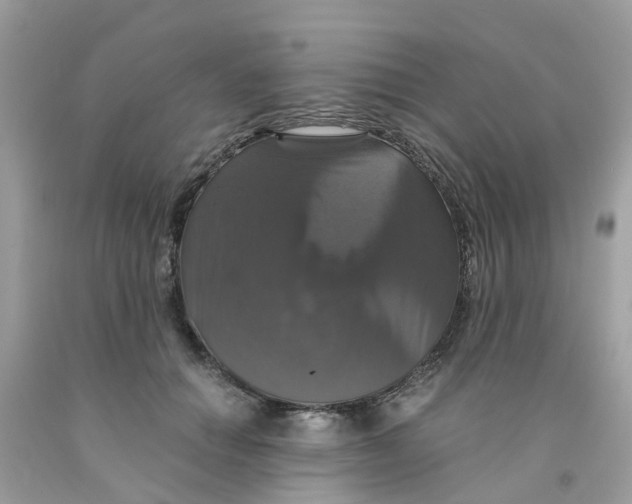 X0000091080654200709041242