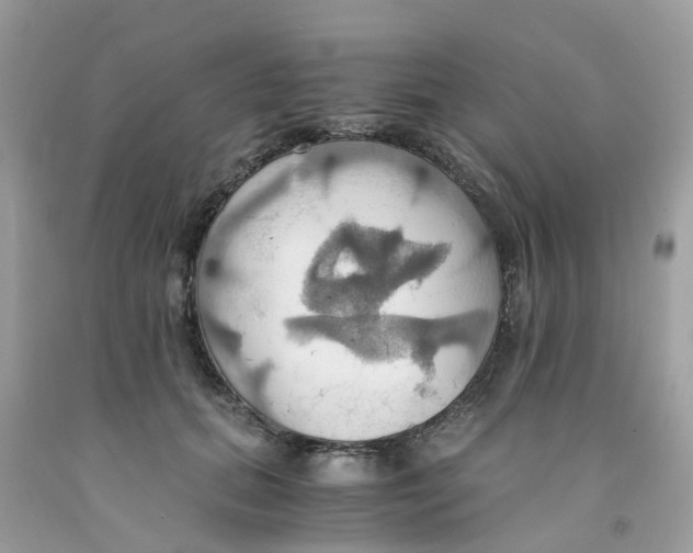 X0000091080655200709041242