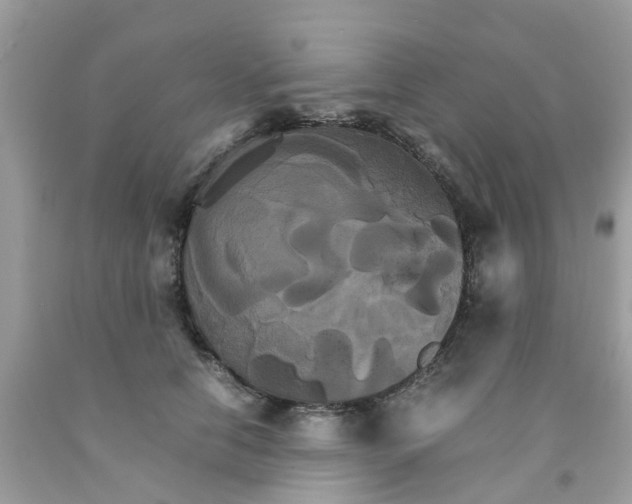 X0000091080658200709041242