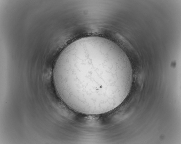 X0000091080660200709041242