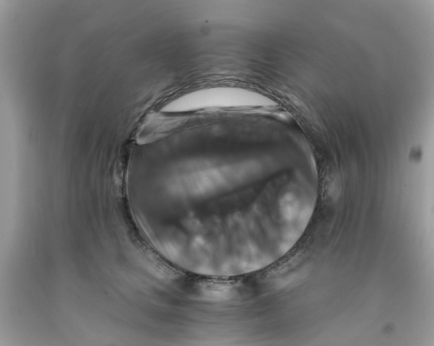 X0000091080661200709041242