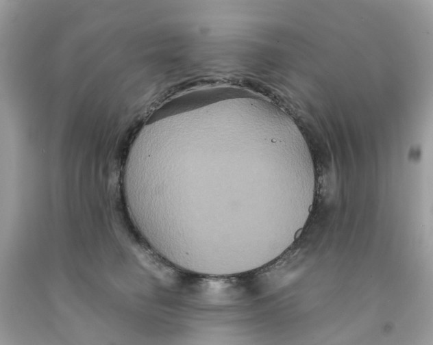 X0000091080662200709041242