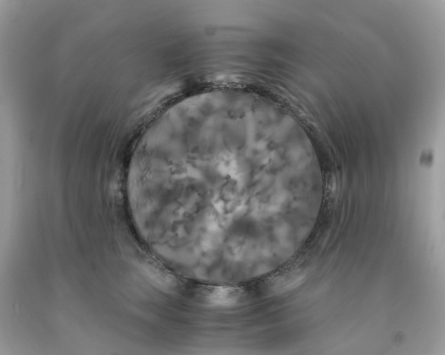 X0000091080663200709041242