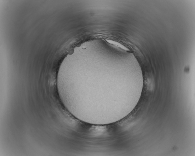 X0000091080665200709041242