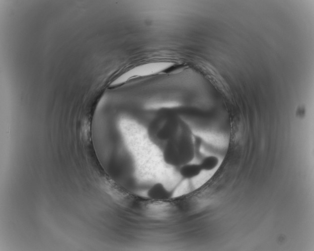 X0000091080669200709041242