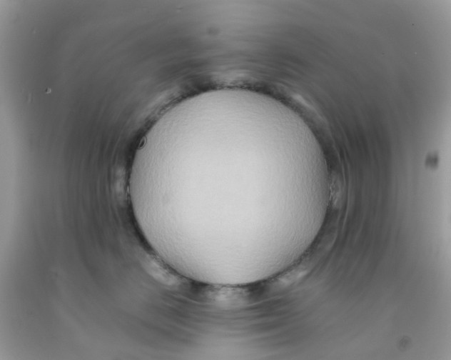 X0000091080670200709041242