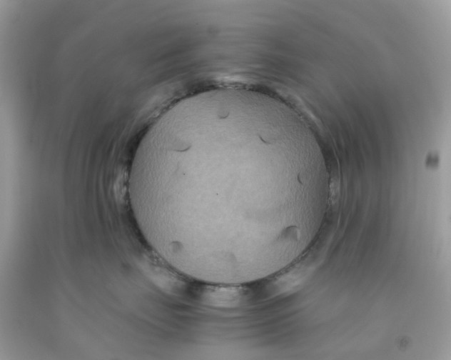 X0000091080671200709041242