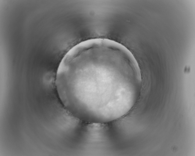 X0000091080672200709041242