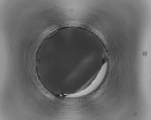 X0000091080673200709041241