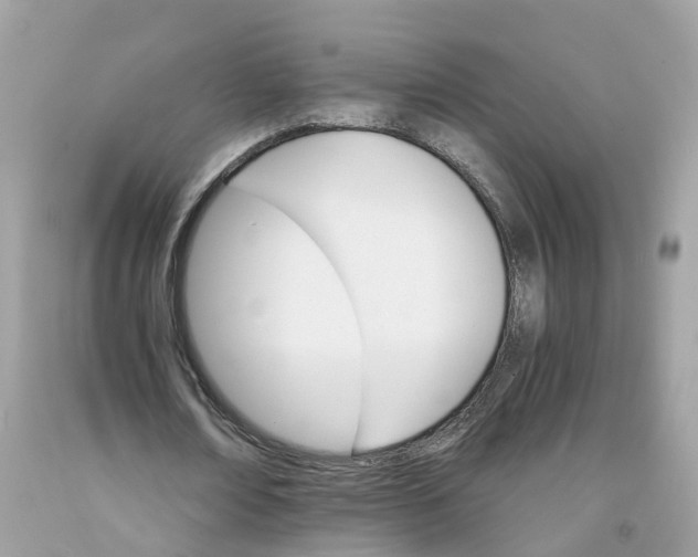 X0000091080674200709041241