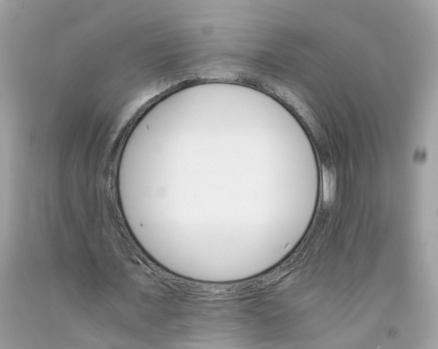 X0000091080675200709041241