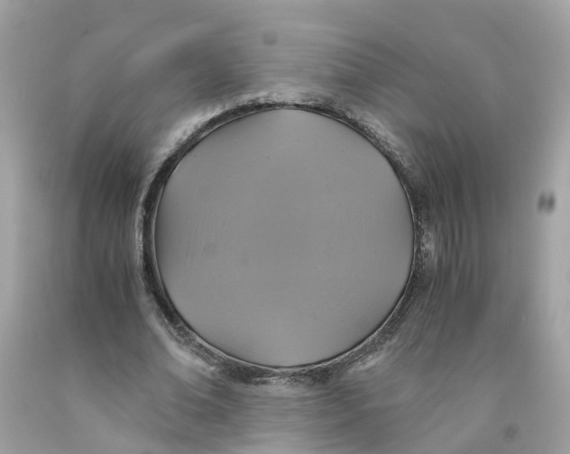 X0000091080678200709041241