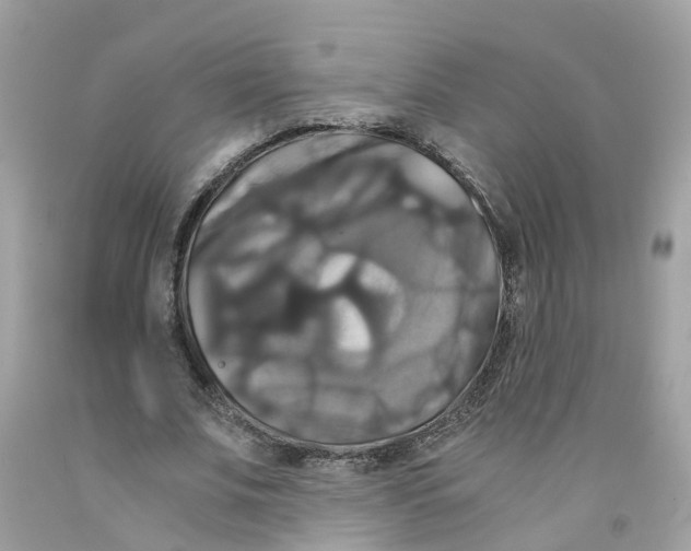 X0000091080679200709041241