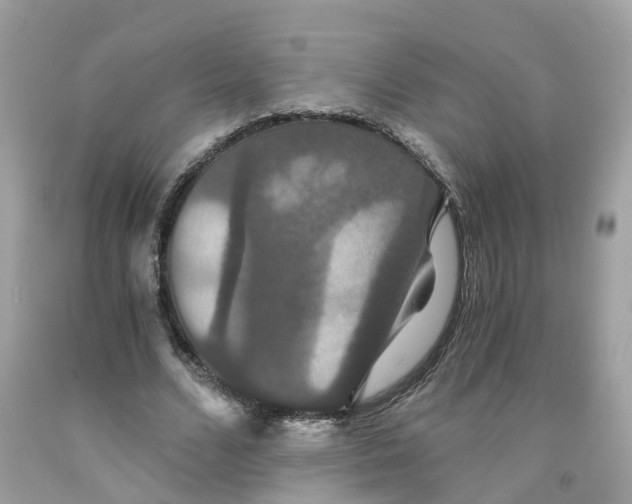 X0000091080680200709041241