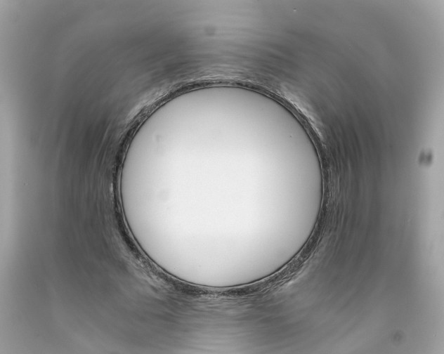 X0000091080681200709041241