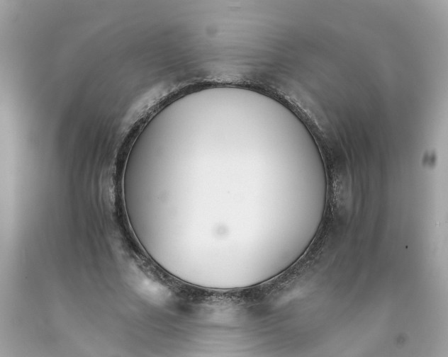 X0000091080682200709041241