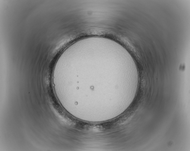 X0000091080683200709041241