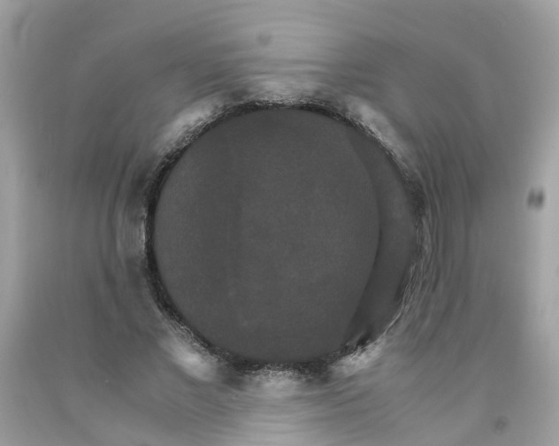 X0000091080685200709041241