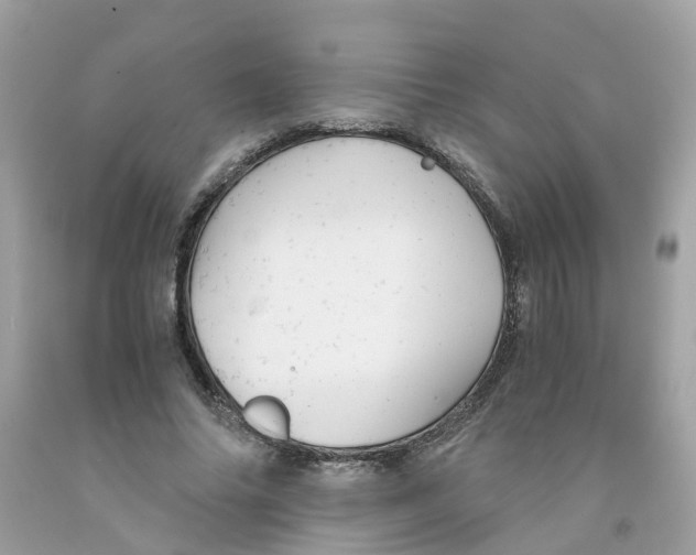 X0000091080686200709041241