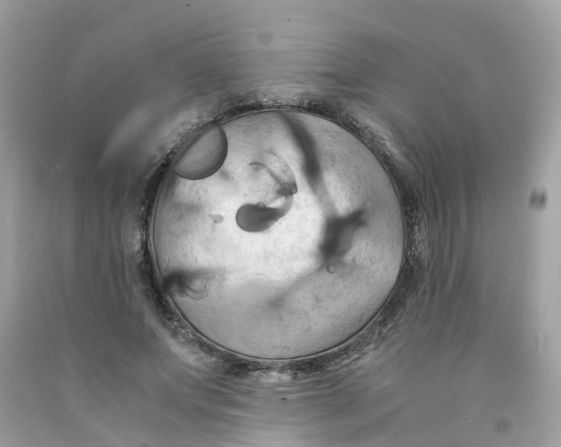 X0000091080687200709041241