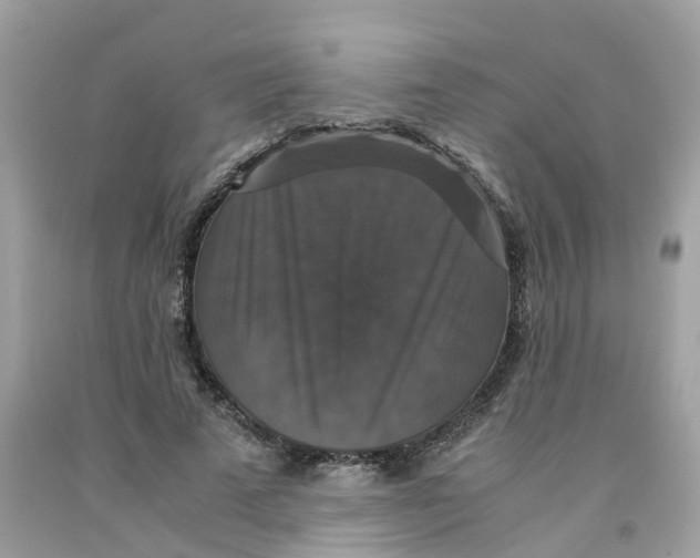 X0000091080689200709041241