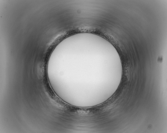 X0000091080690200709041241