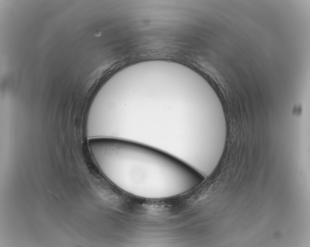 X0000091080693200709041241