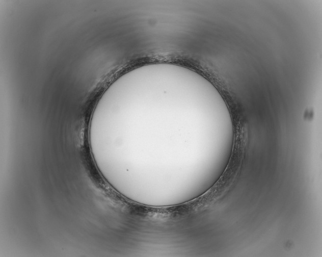 X0000091080694200709041241