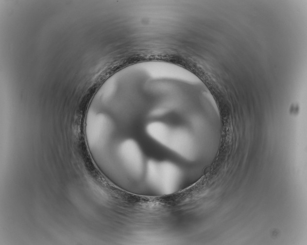 X0000091080695200709041241