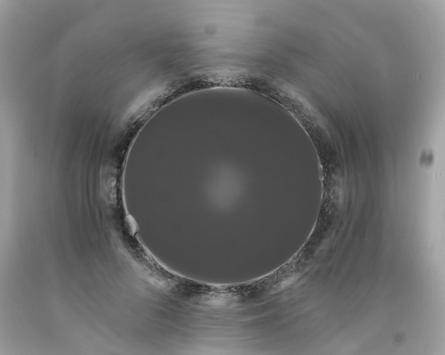 X0000091080696200709041241