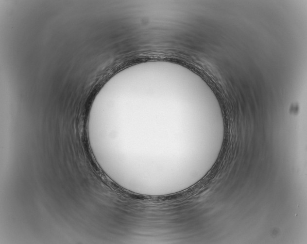 X0000091080697200709041241