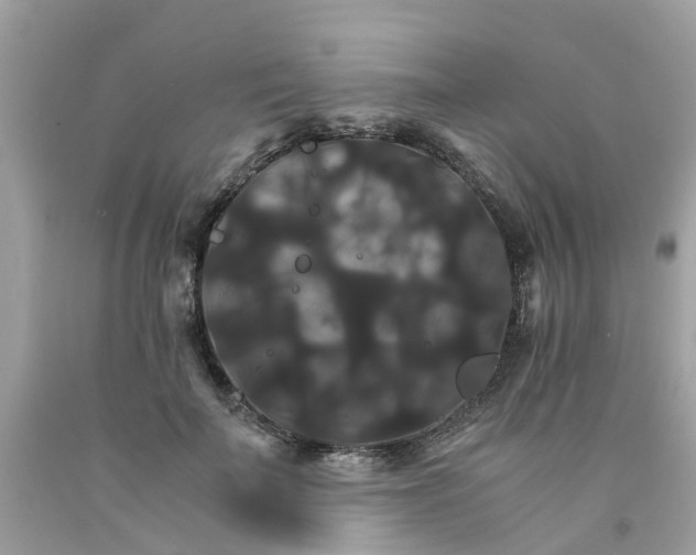 X0000091080699200709041241