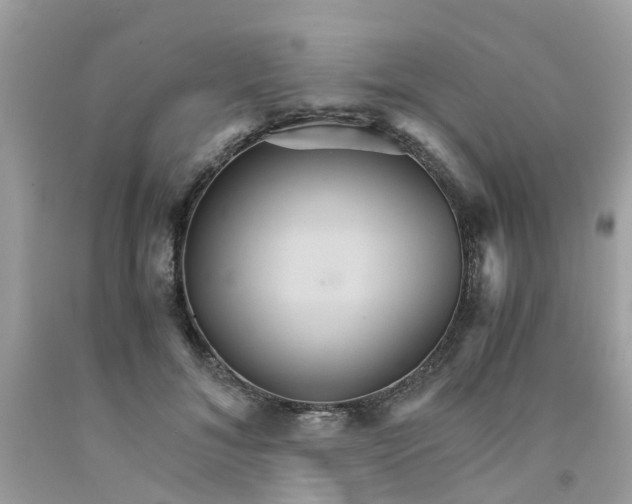 X0000091080700200709041241