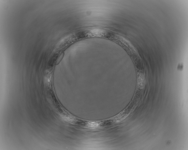 X0000091080701200709041241