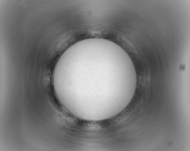 X0000091080702200709041241