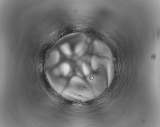 X0000091080703200709041241