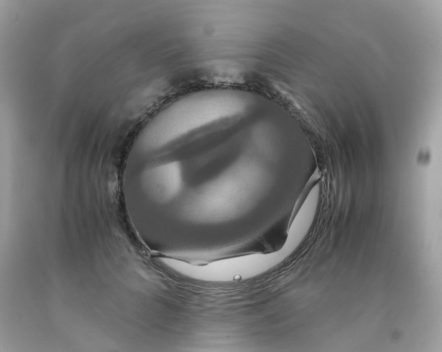 X0000091080704200709041241