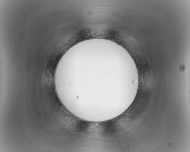 X0000091080705200709041241