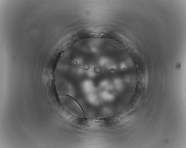 X0000091080707200709041241